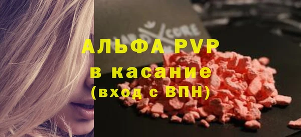 индика Заволжье