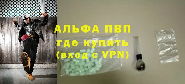 индика Заволжье