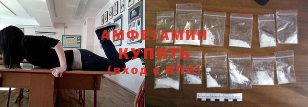 индика Заволжье