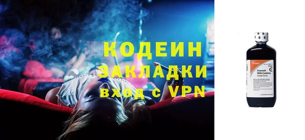 индика Заволжье
