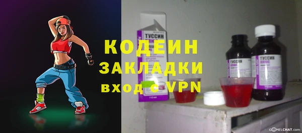 индика Заволжье