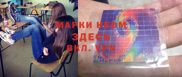индика Заволжье
