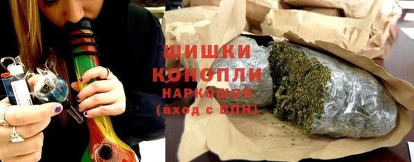 индика Заволжье