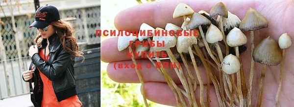 индика Заволжье