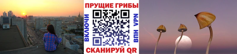 Галлюциногенные грибы мицелий  Купить закладки  Менделеевск 